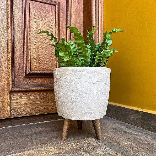 Como escolher o vaso certo para plantas