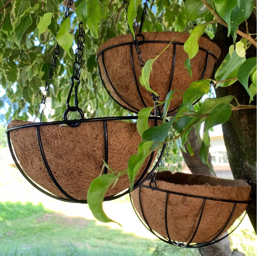Como fazer a manutenção de vasos de fibra de coco