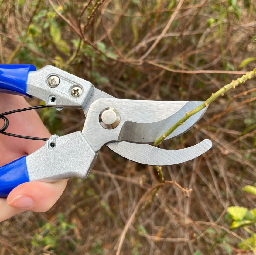 Melhores ferramentas para jardinagem