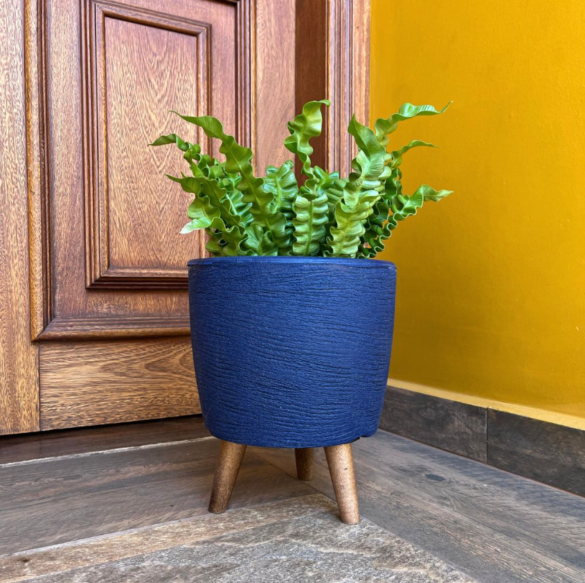 Como cuidar de plantas em casa