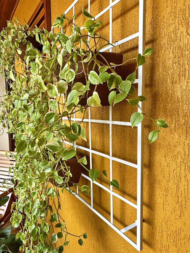 Como montar um jardim em casa