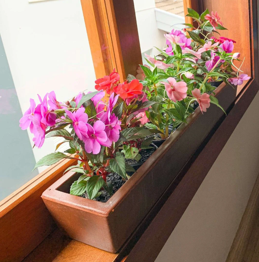 Como montar um jardim em casa