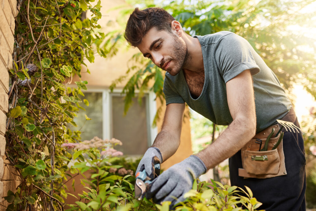 Dicas de jardinagem para iniciantes