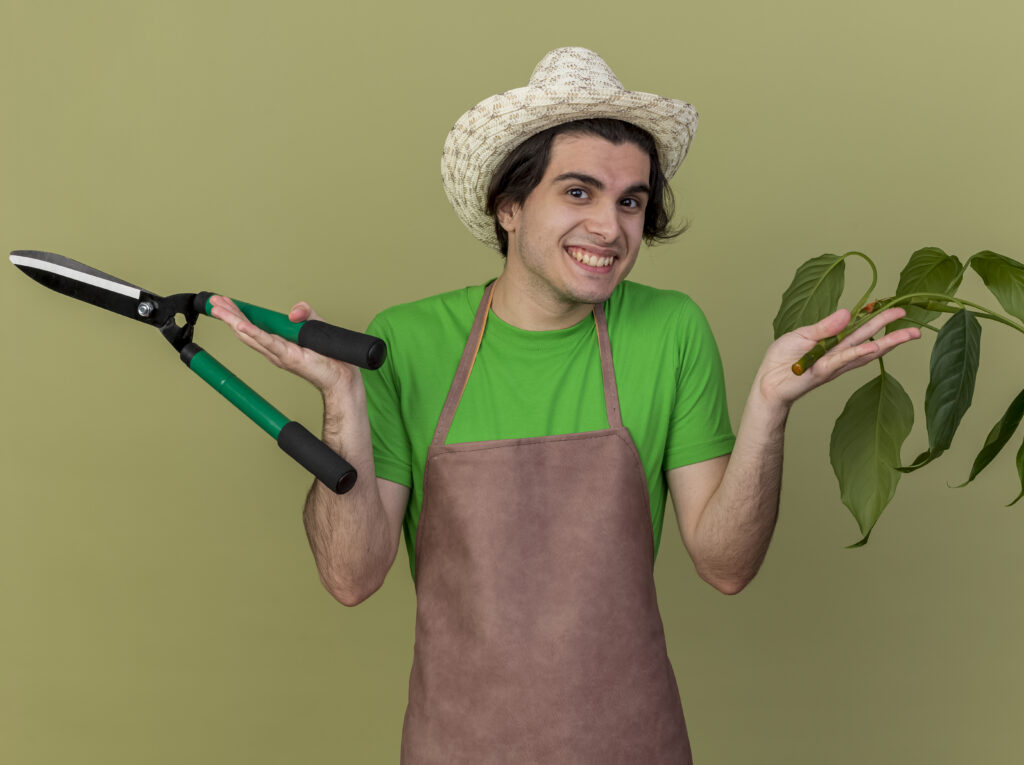 Dicas de jardinagem para iniciantes