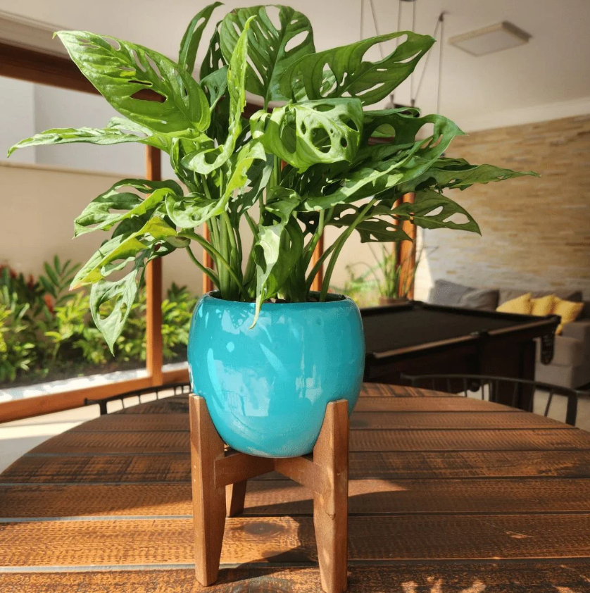 ideias para decorar jardim com pouco dinheiro