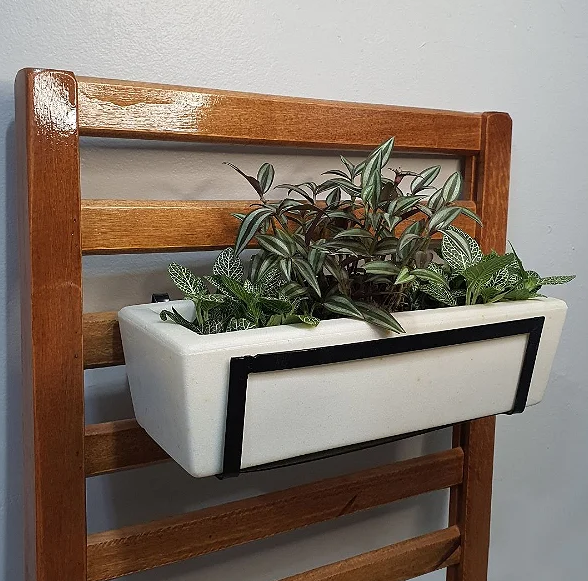 tendências de decoração com plantas 2025