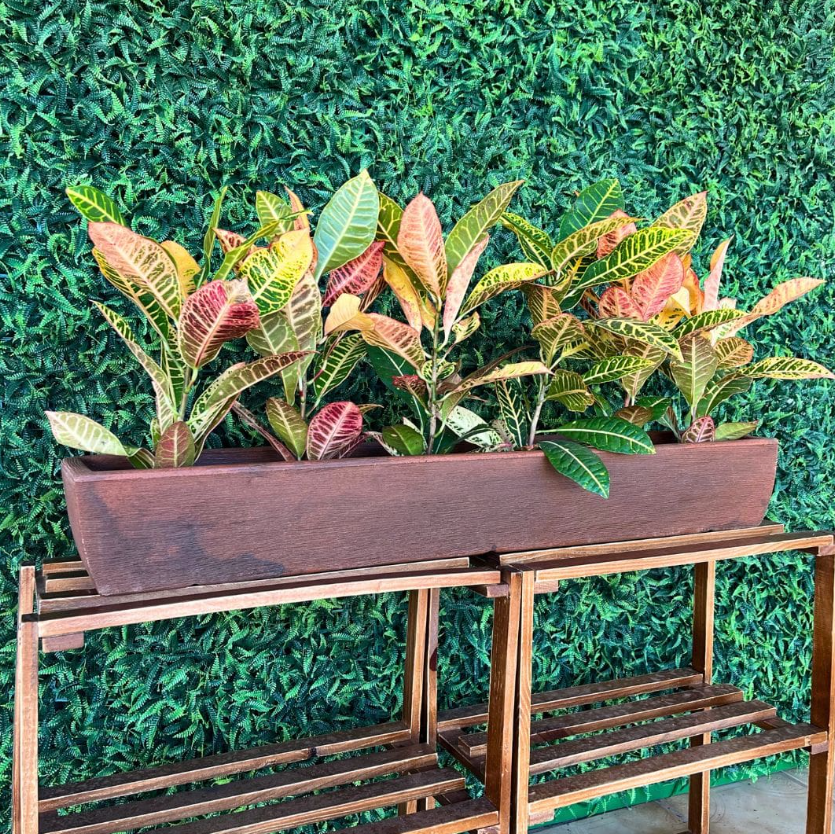 tendências de decoração com plantas 2025