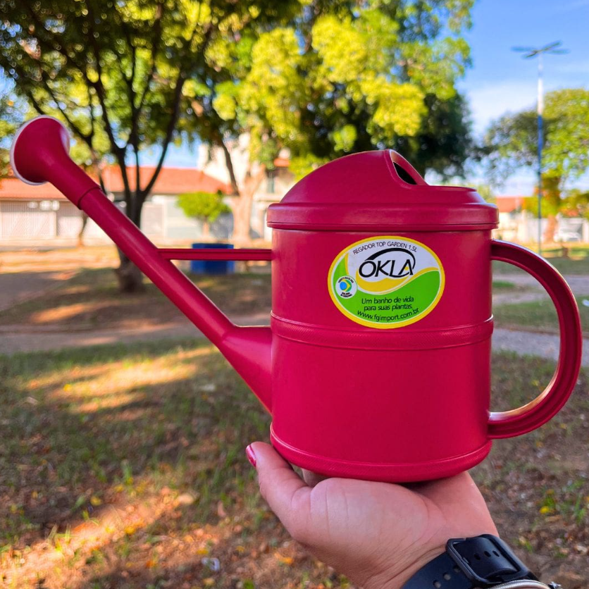 como regar plantas corretamente