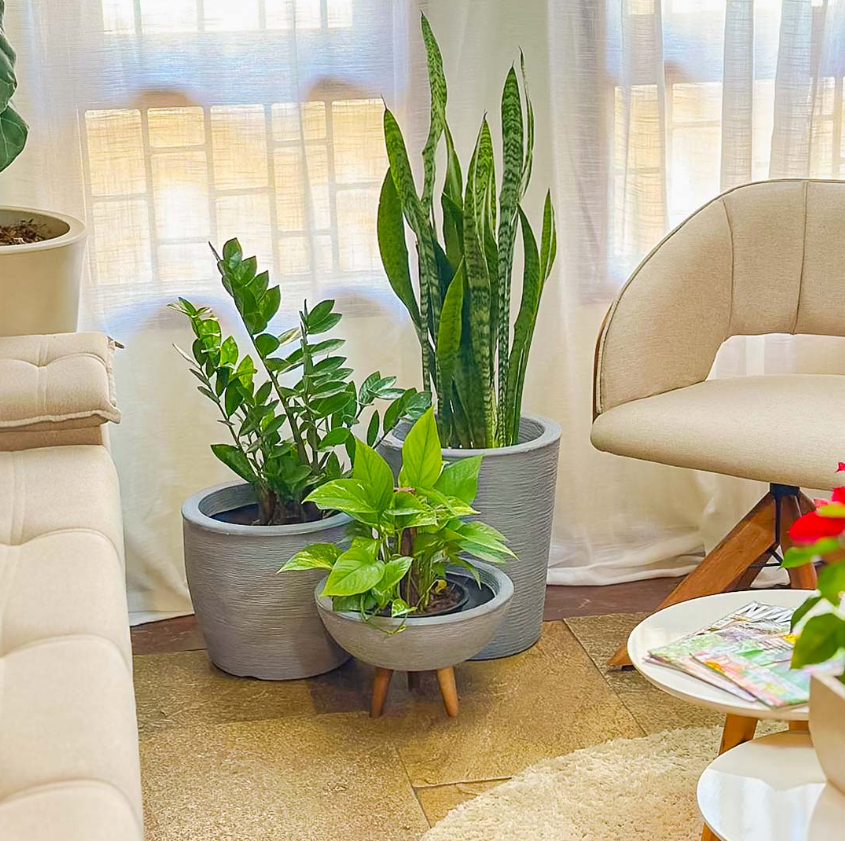 como usar vasos na decoração da sala