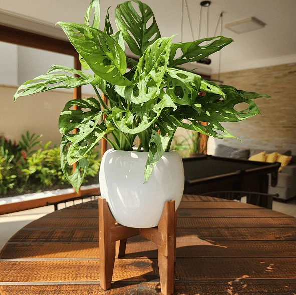 como usar vasos na decoração da sala