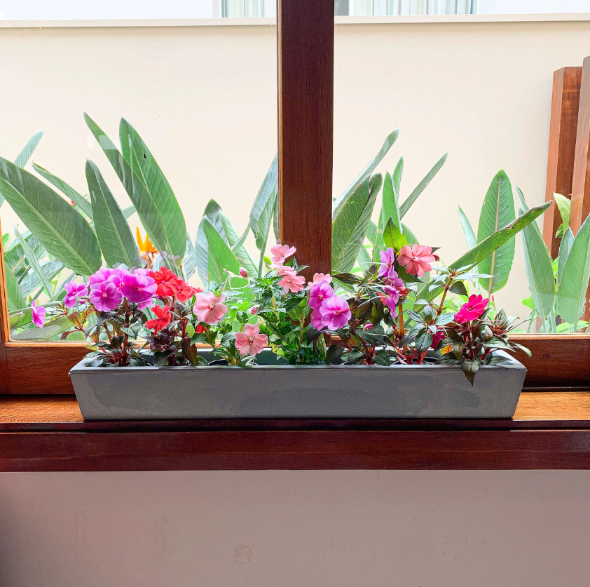 jardinagem como terapia
