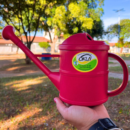 Como regar as plantas corretamente