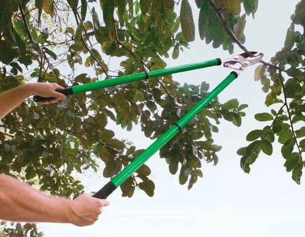 Melhores ferramentas para jardinagem