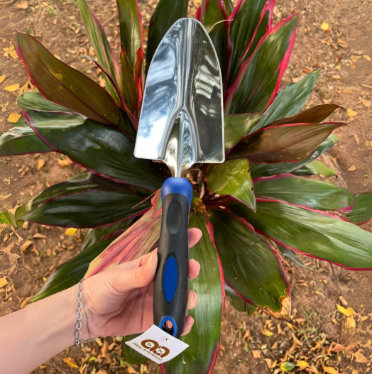 Melhores ferramentas para jardinagem