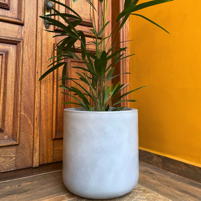 qual o melhor vaso para suculentas?