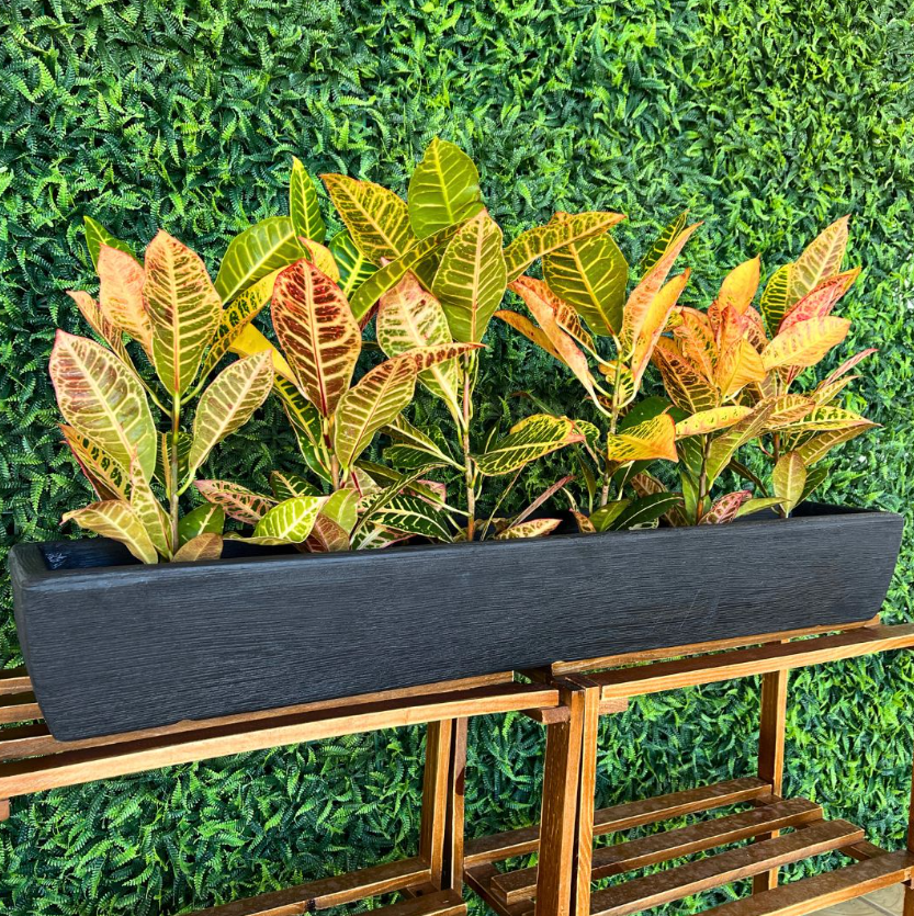 Como montar um jardim em casa