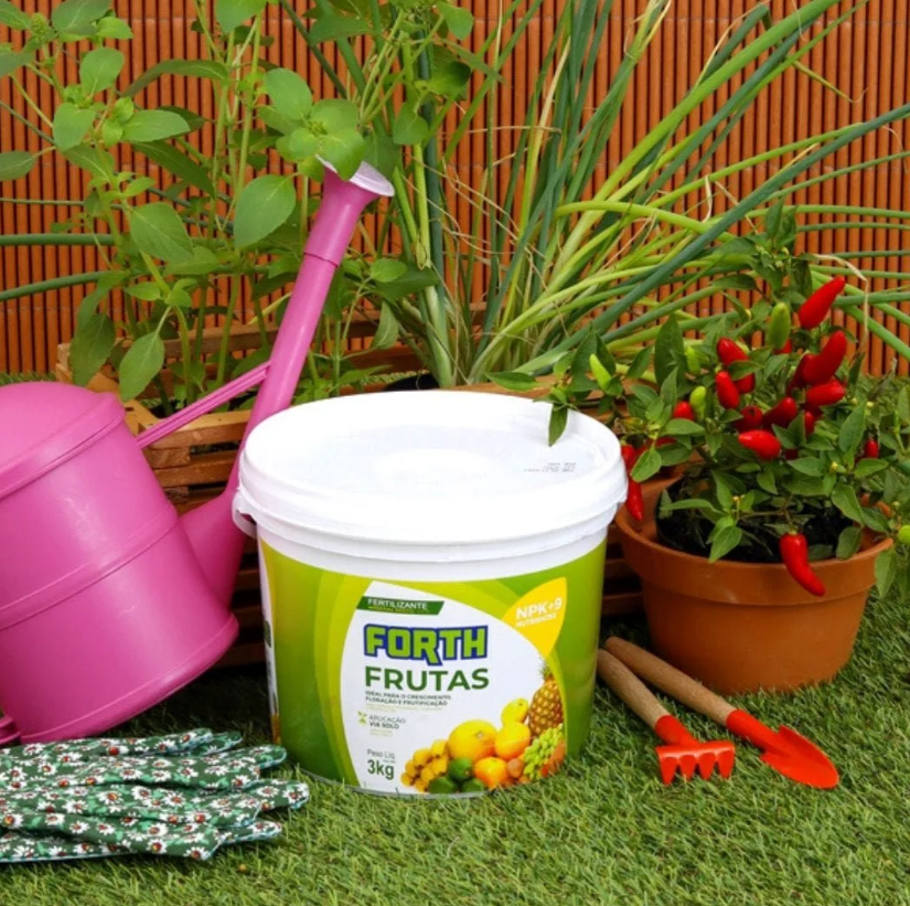 Como montar um jardim em casa