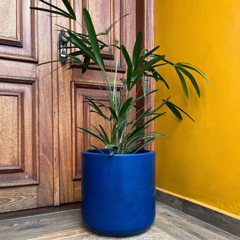 Tipos de vasos para plantas: qual escolher?