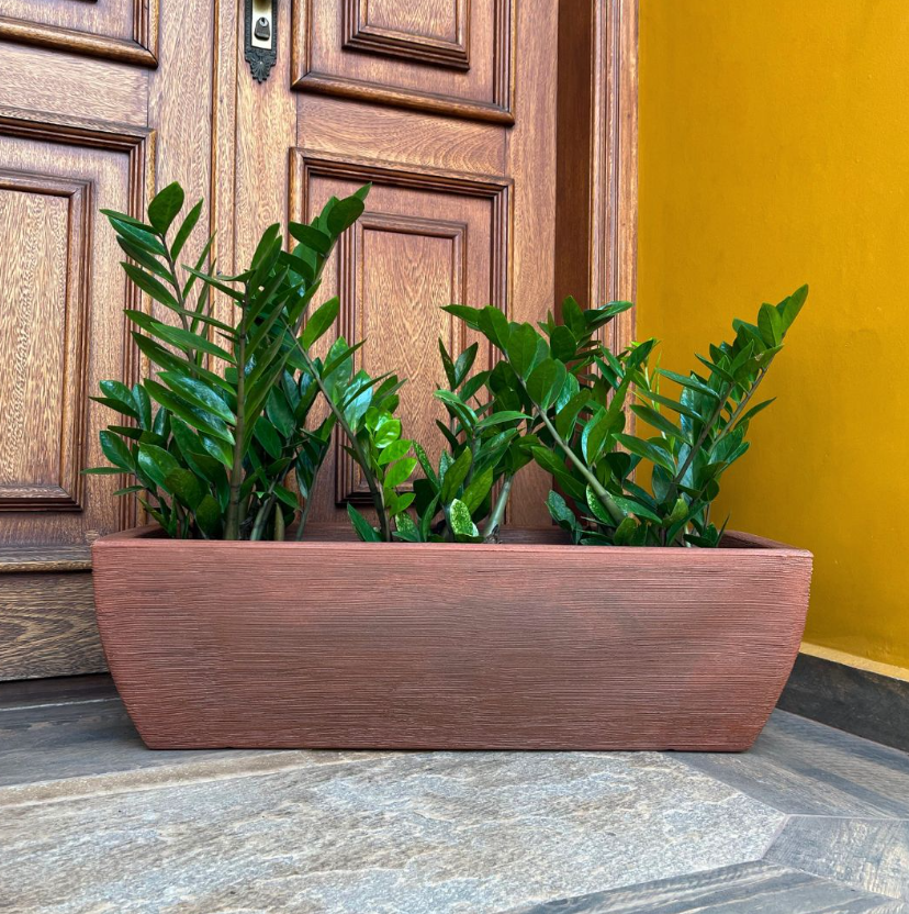 Tipos de vasos para plantas: qual escolher?