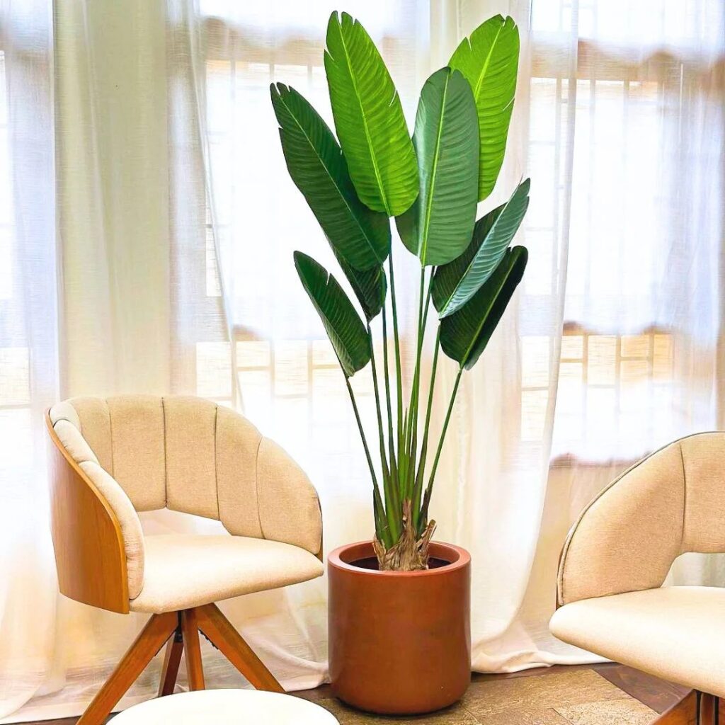 Como cuidar de plantas artificiais para que pareçam naturais?