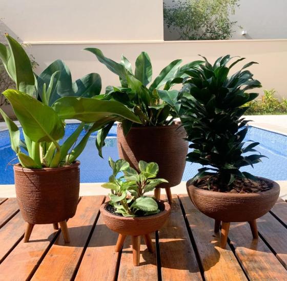 como escolher vasos para plantas na black friday