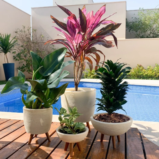 como escolher vasos para plantas na black friday