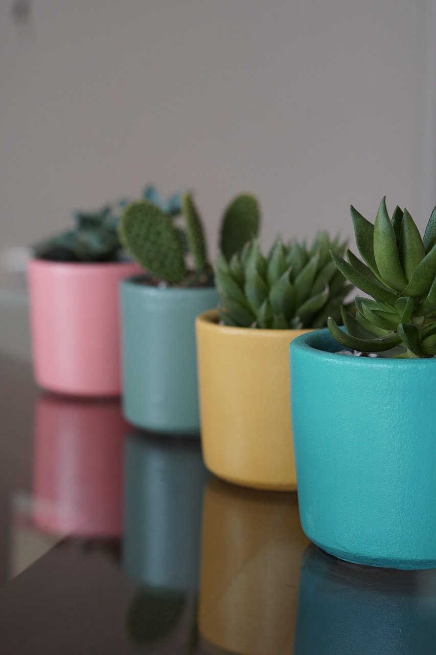 vasos decorativos para cactos em espaços pequenos – Transformando espaços pequenos com vasos decorativos para cactos