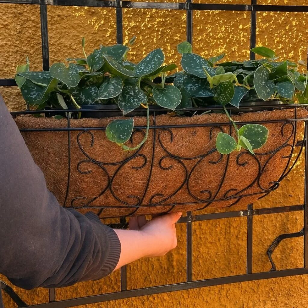 Vasos para Plantas de Fibra de Coco